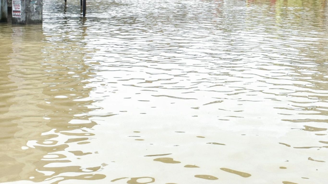 demo pic 76